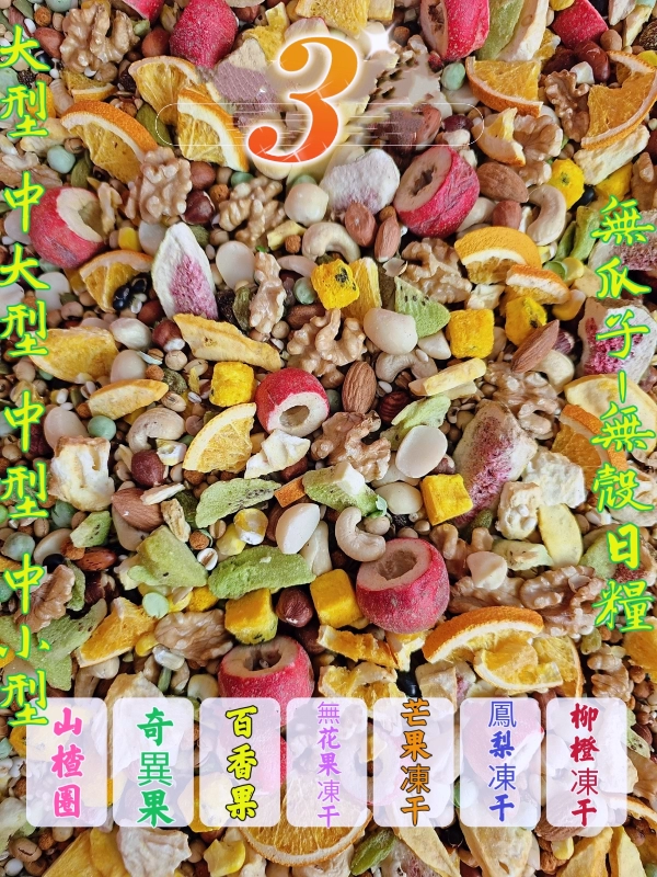 3號-綜合水果凍干百匯(無瓜子*無殼款）