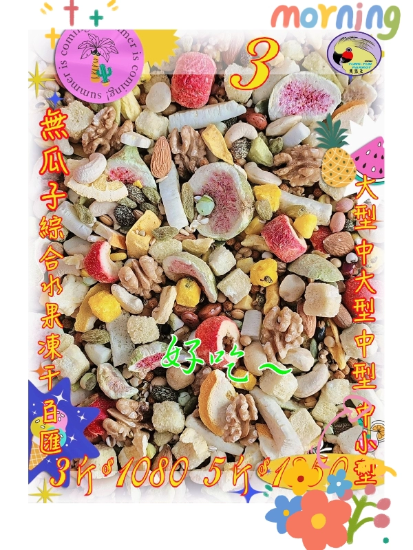 03號-2️⃣0️⃣2️⃣6️⃣新款上市＆綜合水果凍干百匯 ((無瓜子*無殼款))