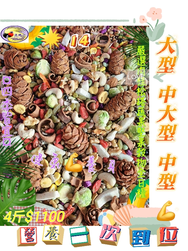 【14號】🌸頂級蔬果堅果全營養日糧🌸 綜合款